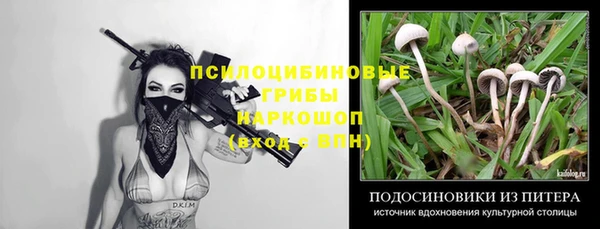 spice Балабаново