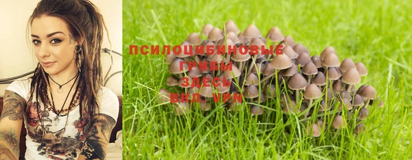 spice Балабаново