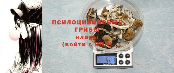 spice Балахна