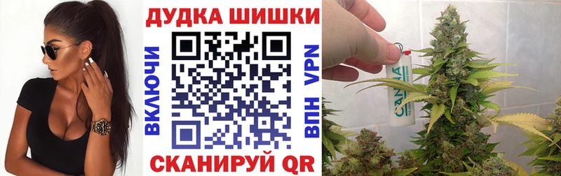 Бошки Шишки планчик Трубчевск